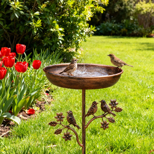 Garden Birdbath Sturdy Iron Outdoor Bird Bath